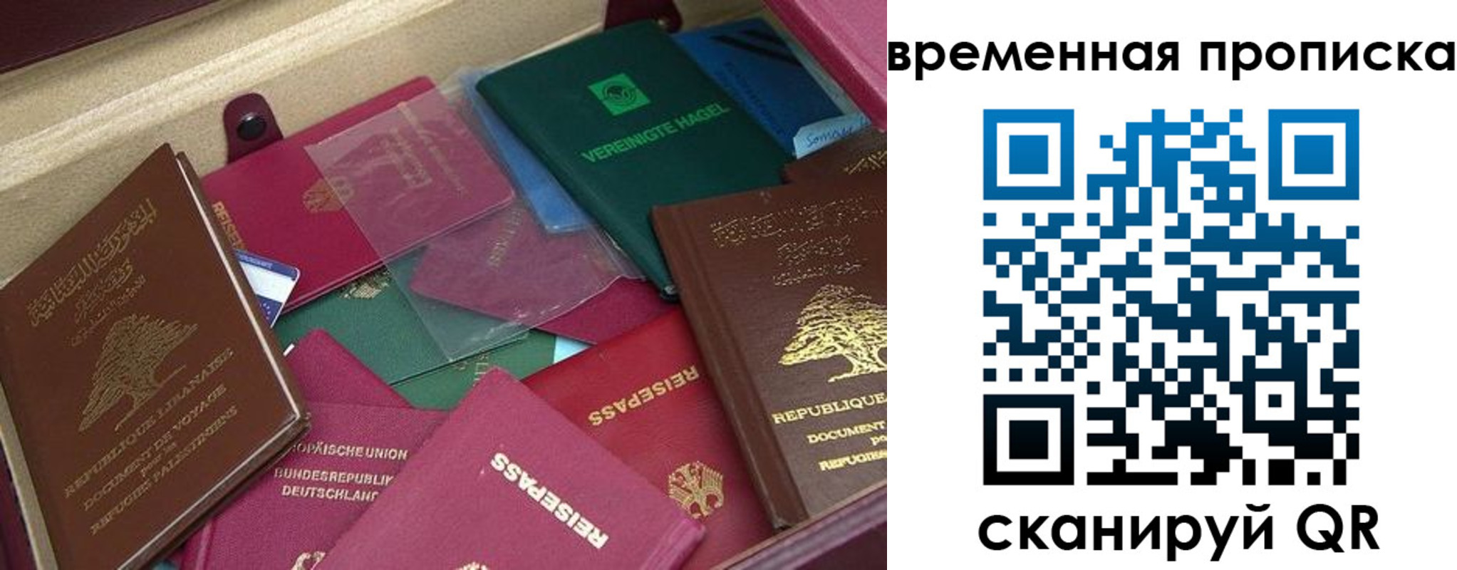 прописка в Верещагино